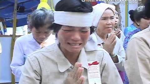 Phóng sự "Sập nhịp dẫn cầu Cần Thơ"