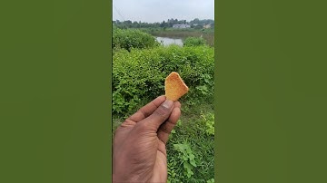 jai shree ram #shorts#video#