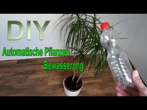 automatische-pflanzenbewässerung-aus-pet-flasche-selber-machen-–-bewässerungssystem-bauen-/-diy