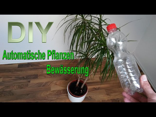Make your own automatic plant watering system from a PET bottle  build an  irrigation system / DIY - YouTube