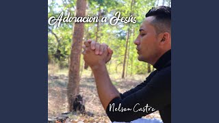 Video thumbnail of "Nelson Castro - El Rapto, Dónde Está Ese Pueblo Bullicioso"