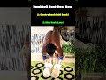 Dumbbell Bent Over Row | Build a Stronger Back and Shoulders #shorts #homeworkout #backworkout