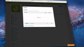 Coyo Social Intranet & Knowledge Management Trailer