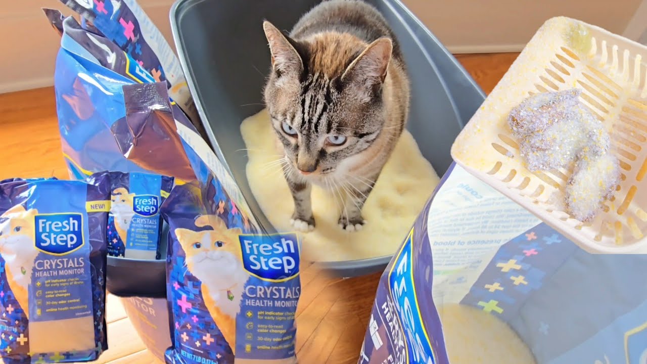 Better than PrettyLitter: New Fresh Step health monitoring cat litter (crystal cat crap) pee & poop💩