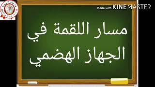 السنة الرابعة علمية الهضم صفحة 22.23( اجزاء الجهاز الهضمي ورحلة اللقمة