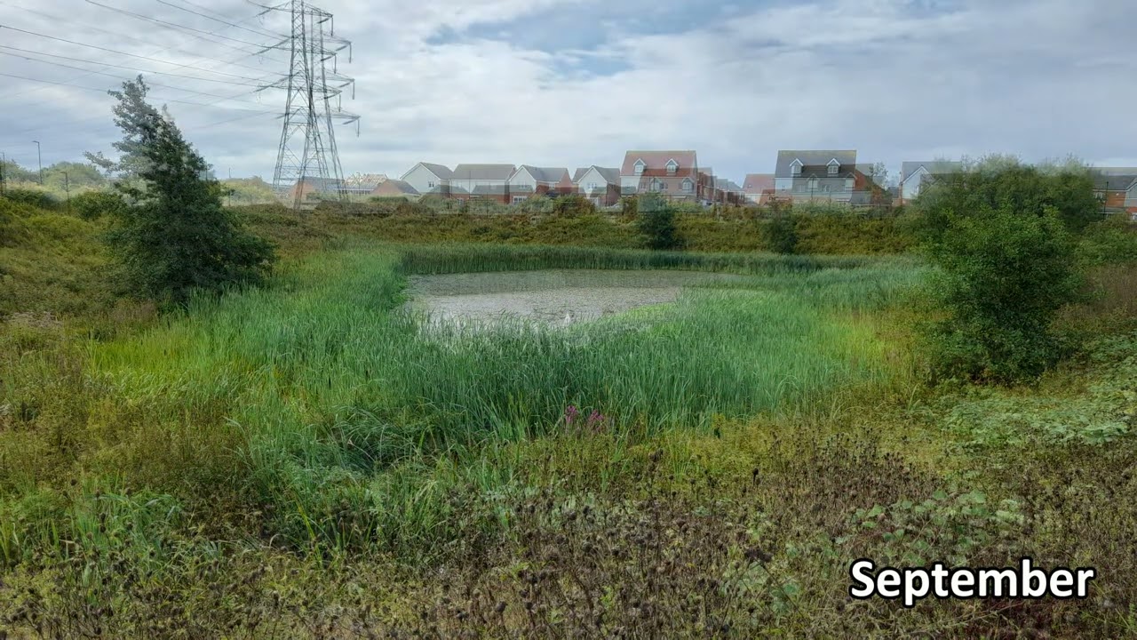 Changing seasons along the Brierdene Burn in Backworth, NE27 (2)