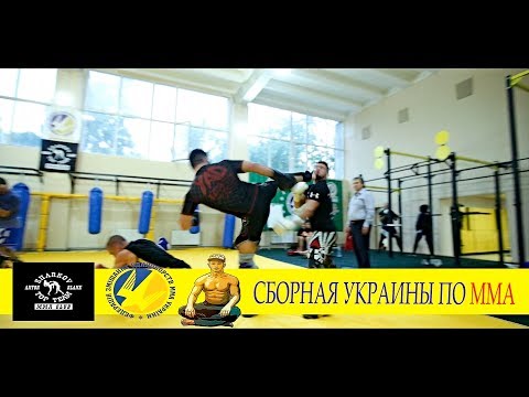 Подготовка сборной Украины к чемпионату мира по ММА - Подготовка сборной Украины к чемпионату мира по ММА