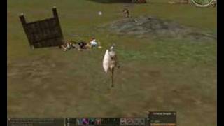 Some Kamael skills