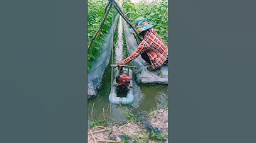 khám phá máy cắt cỏ chế thành máy tưới nước siêu đỉnh