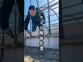 ハウスの解体作業! #shorts