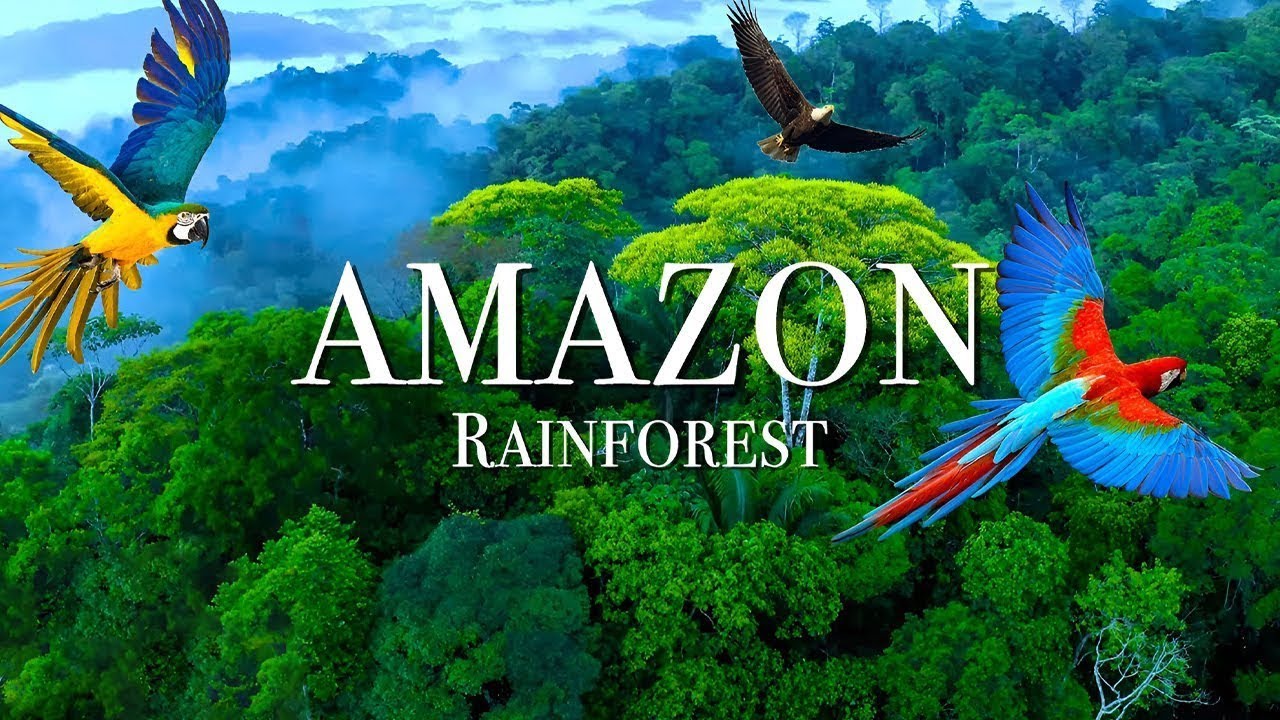 Amazon Rainforest: दुनिया का सबसे बड़ा रहस्यमय जंगल | History Ka Safar