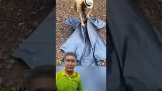trik cepat melipat tarpal #shorts