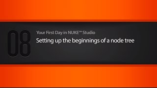 Nuke Studio Setting Up A Node Tree