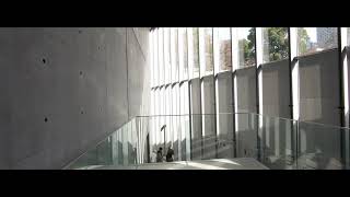 Architecture / Tadao Ando '21_21 Design sight'  (4K)
