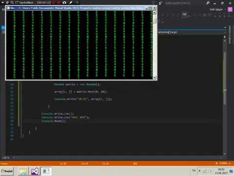 C# make matrix screen