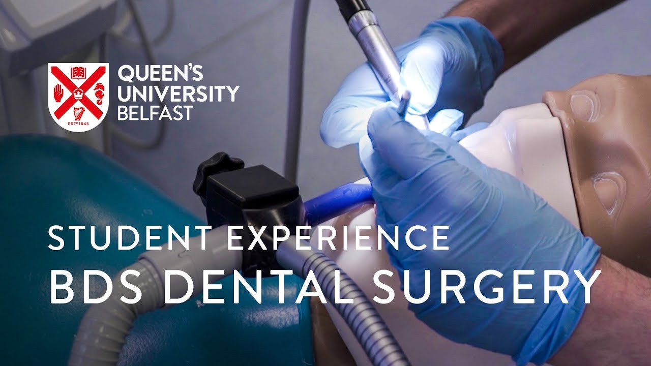 Iranian BDS Bachelor of Dental Surgery Student Experience Dental Clinic