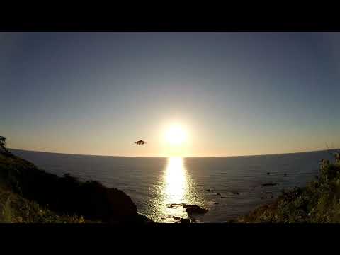 川崎忍 - YouTube