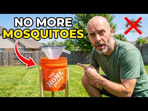 This $10 Bucket Kills EVERY Mosquito In Your Yard — SAFE For Honey Bees & Pets!