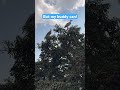 My buddy can. #funny #comedy #shortvideos