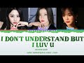 SEVENTEEN -"I DON'T UNDERSTAND BUT I LUV U " Winter Blue Sky || Color Coded Lyrics (rom)