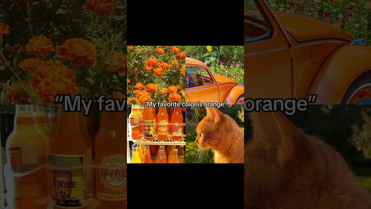 My favorite colors! 🩵💚💛❤️ 