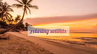 Relaxing Sounds Calm Beach Waves