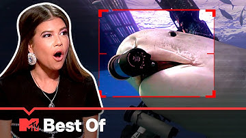 Ridiculousnessly Random Videos 🎲 SUPER COMPILATION | Ridiculousness