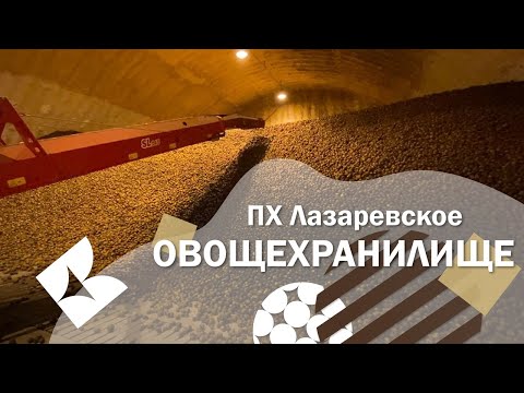 ПХ Лазаревское - овощехранилище