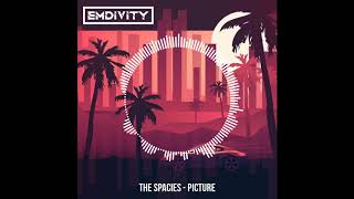 The Spacies - Pictures (EMDIVITY Remix)