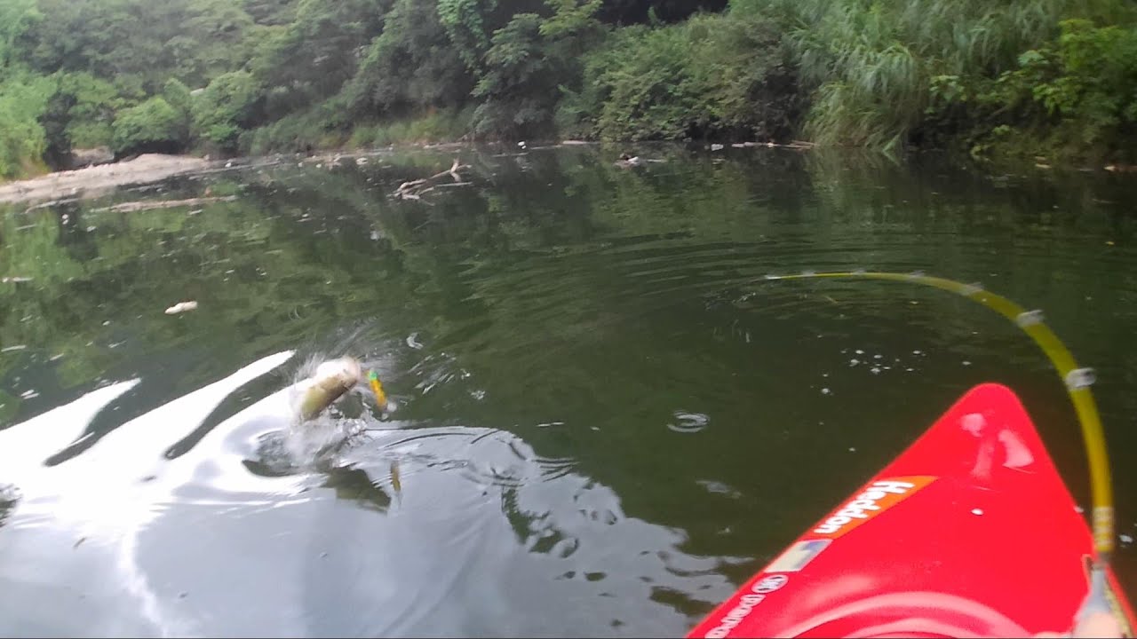 タムタム Bass Fishing vol23 TTダム ペンシルで釣ると楽しー😊