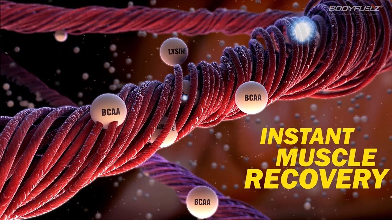 Bodyfuelz Musclemax - Pre/Intra/Post Amino Nutrition