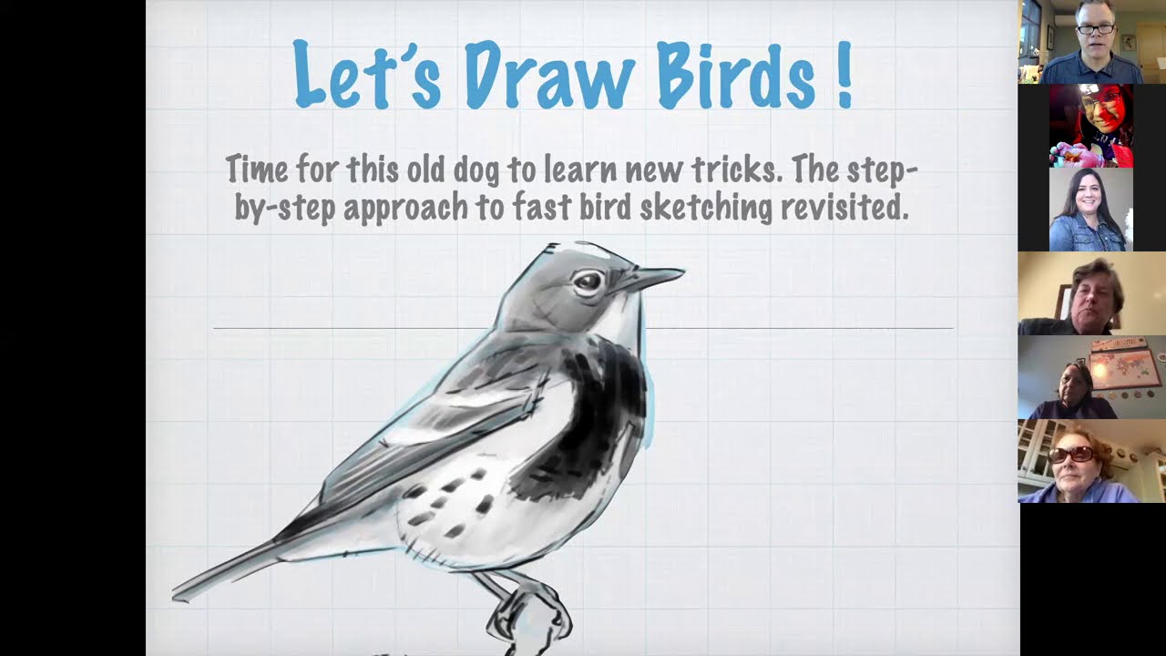 Speed Drawing Birds • John Muir Laws