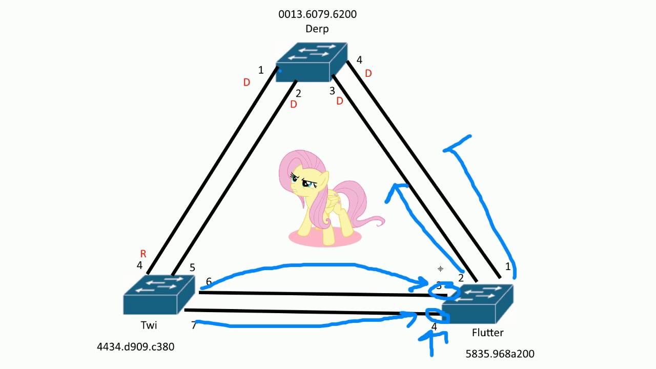 STP Port Roles: Scenario 1