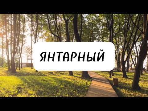 ЯНТАРНЫЙ| ПАРК БЕККЕРА|