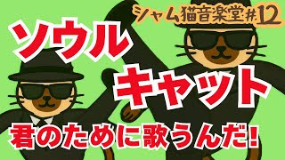 ソウルキャット〜ブルースブラザース風オマージュ!猫版Soul Man〜シャム猫音楽堂ヒットパレード12