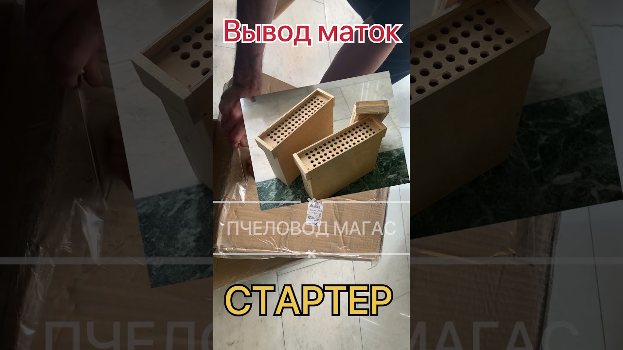 Стартер для вывода маток купить Стартер для вывода маток купить