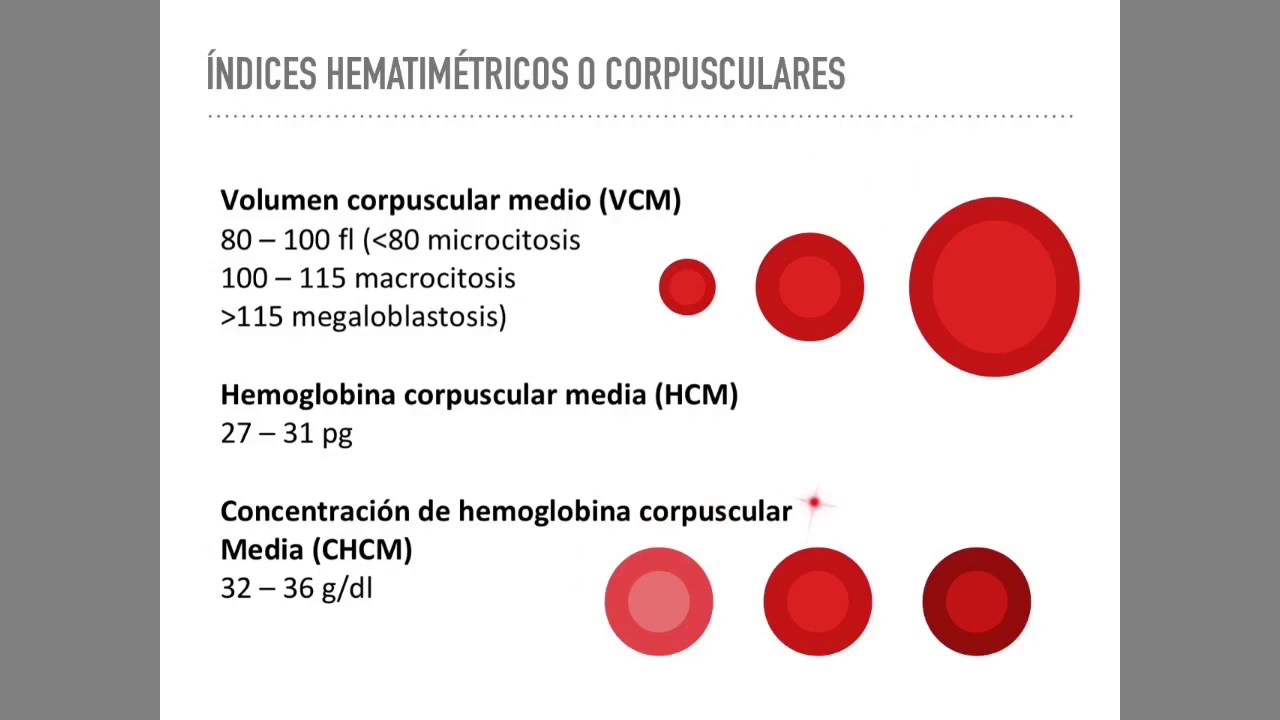 Concentración de la hemoglobina corpuscular media