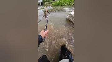 Chèo lên tấm sốp ngồi câu cá nhưng ngã ướt người