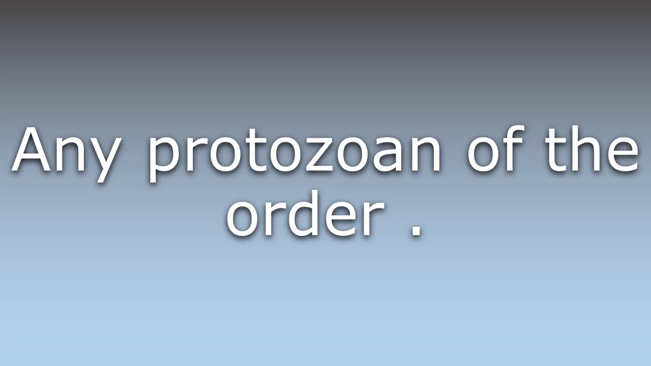What does Trypanosomatid mean?