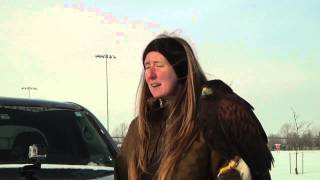 Odd Jobs Episode 2 HD