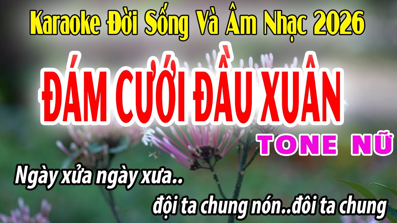 Đám Cưới Đầu Xuân | Karaoke Tone Nữ | B | Đời Sống Và Âm Nhạc | Beat 2026