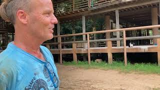 Darrick explained how to give the best life for rescued elephants