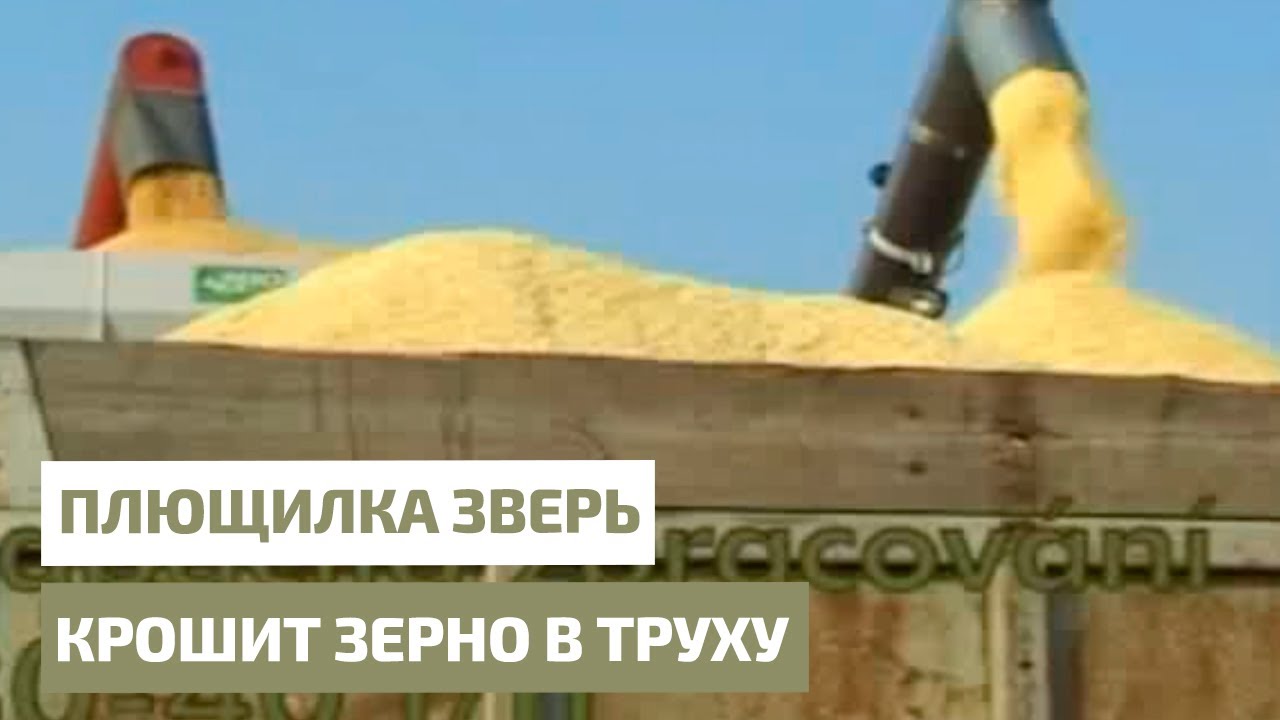 Королла в труху ютуб