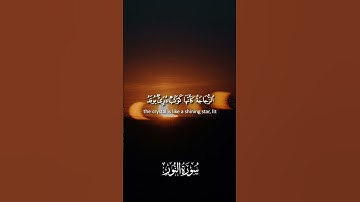 Surah An-Nur - Muhammad Al-Luhaidan | سورة النور - محمد اللحيدان