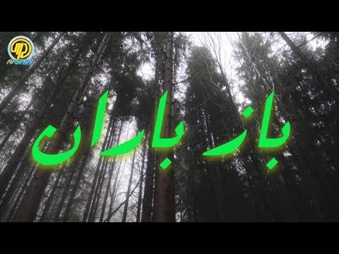 شعر به یاد ماندنی باز باران با صدا و دیکلمه افشین Mp