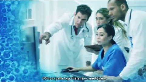 DeePathology STUDIO™ - Artificial Intelligence  Do It Yourself platform