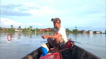 MANCING IKAN PATIN MONSTER DI DANAU TEMPE