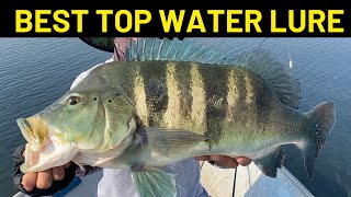 BETTER THAN RAPALA LURE#fishing