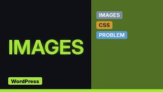 Wordpress: Why is inline CSS added to images automatically