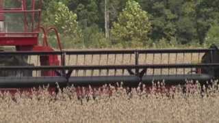 Project Overview: Estimation of Deer Damage to Soybean Production in Mississippi